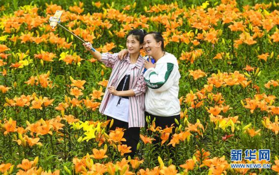 (社會(huì))(4)黑龍江伊春:消夏旅游熱