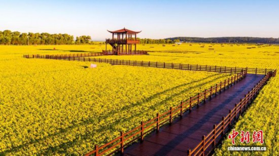 喬府大院生態(tài)體驗(yàn)區(qū) 受訪者供圖