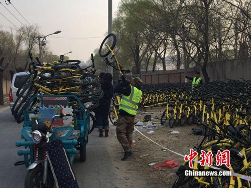 有故障的共享單車正源源不斷地送到維修點。<a target='_blank'  _fcksavedurl='http://www.chinanews.com/' ></table>中新網(wǎng)</a> 吳濤 攝