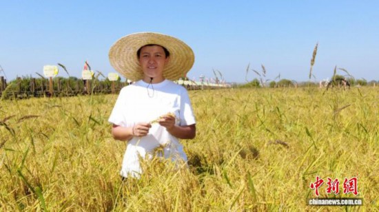 全國(guó)人大代表、寧安市渤海鎮(zhèn)上官地村黨支部書記、村委會(huì)主任陳雨佳在稻田中。 受訪者供圖