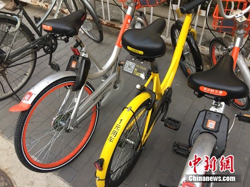 資料圖。某輛共享單車號碼被損。<a target='_blank'  _fcksavedurl='http://www.chinanews.com/' ></table>中新網(wǎng)</a> 吳濤 攝