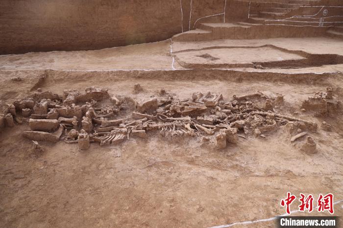 國家文物局“考古中國”重大項(xiàng)目通報(bào)商代最新發(fā)現(xiàn)成果